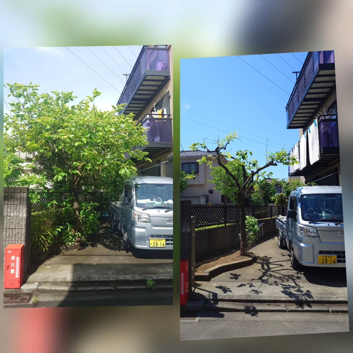 画像591