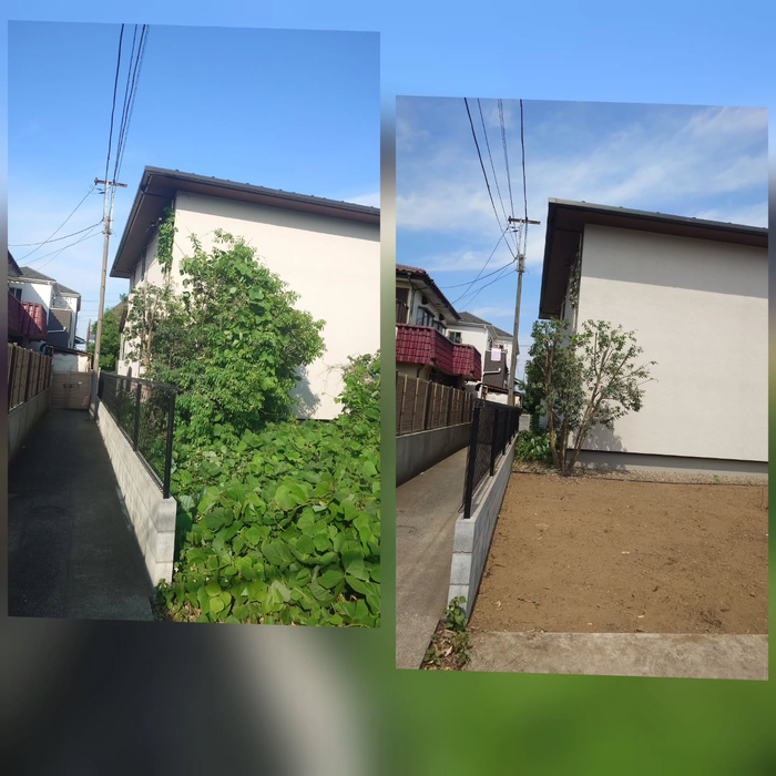 画像600