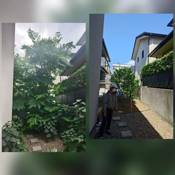 画像602