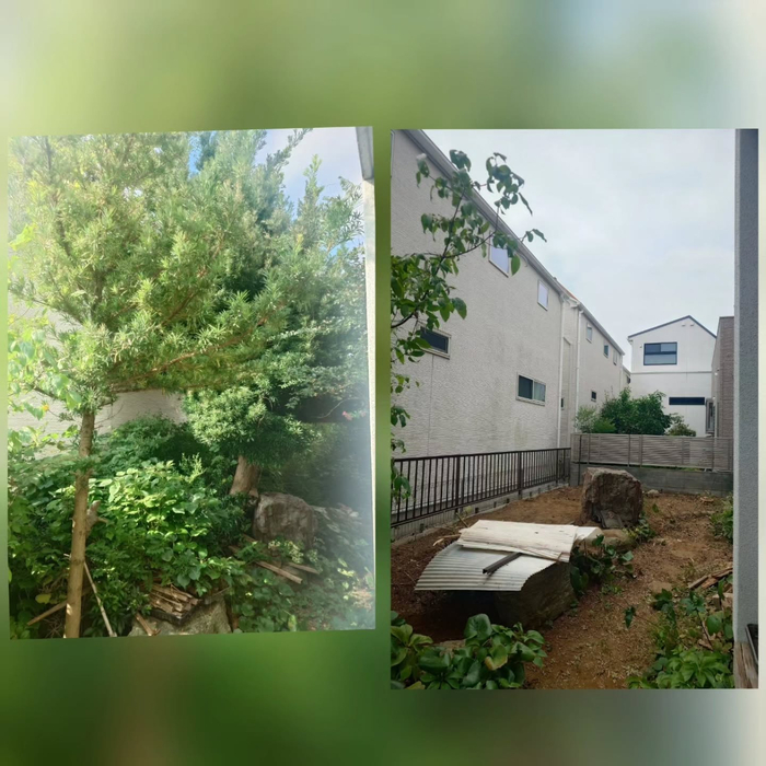 画像620