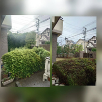 画像629