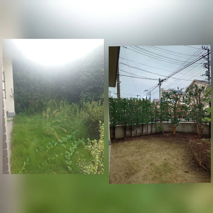 画像630