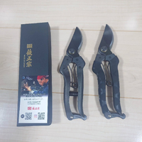 画像637