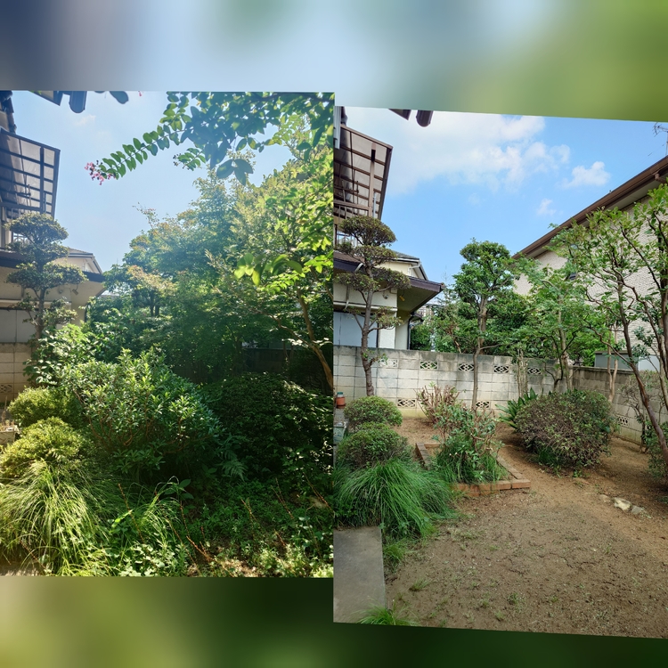 あなたの庭を美しく保ち、憩いのスペースを提供する植木屋マツモト造園