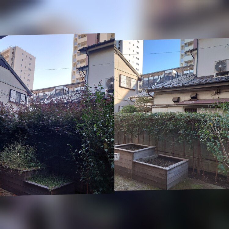 岩槻区一番の植木屋、あなたのお庭を美しく整えます！