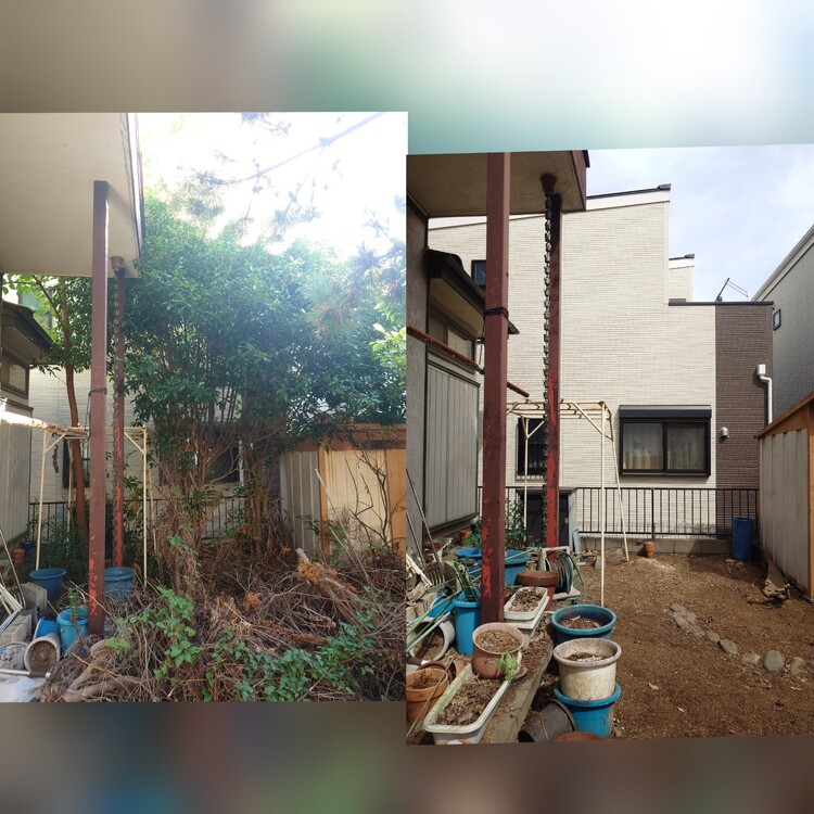キンモクセイの伐採は私たちにお任せ！