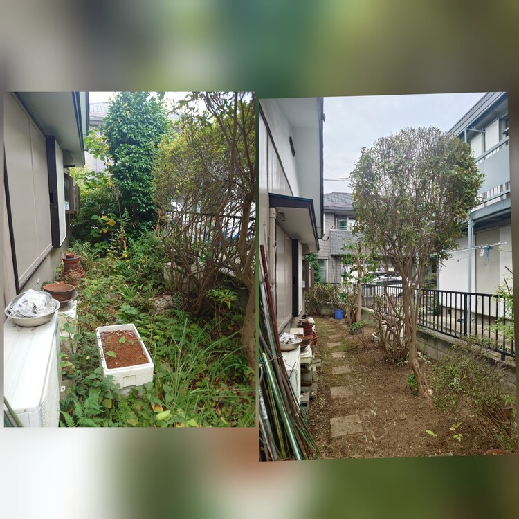 さいたま市の庭木手入れ、あなたの理想を叶えるお手伝い！