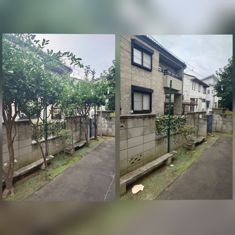 さいたま市の伐採