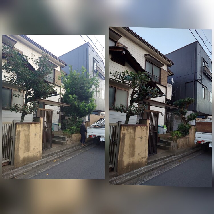 あなたの庭を美しく整える専門店、マツモト造園へようこそ！