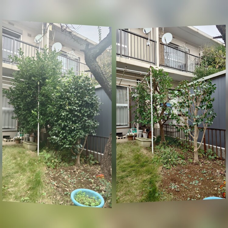 あなたのお庭、形を整えて美しく！