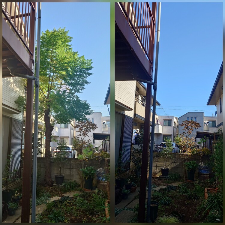 伐採はマツモト造園へ - お庭の悩み、私たちが解決します！