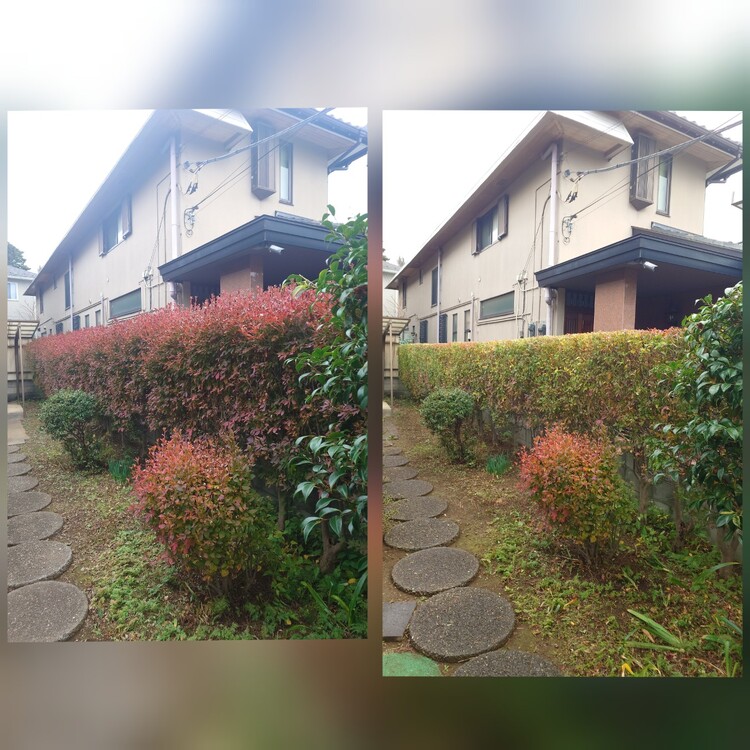 生垣もお庭も、プロの手で美しく。