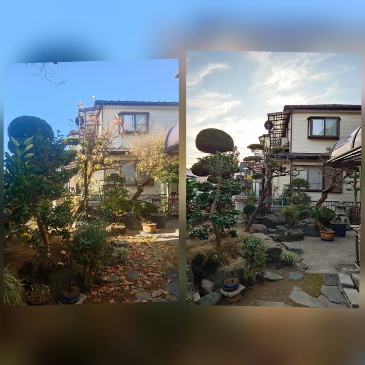 あなたのお庭、プロにお任せで美しく変身！