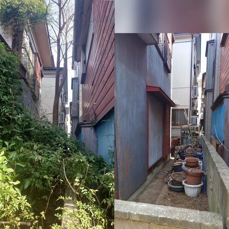 伐採と除草のプロがサポート、あなたのお庭を美しく！