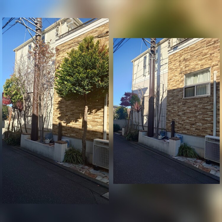 さいたま市の剪定、伐採はプロにお任せ！