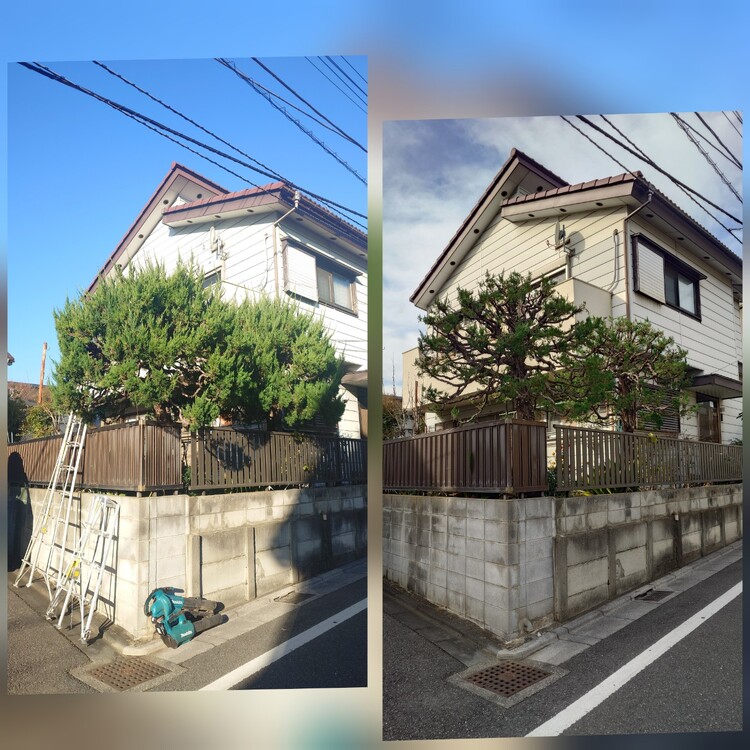あなたのお庭に最適な剪定を、マツモト造園が実現します。
