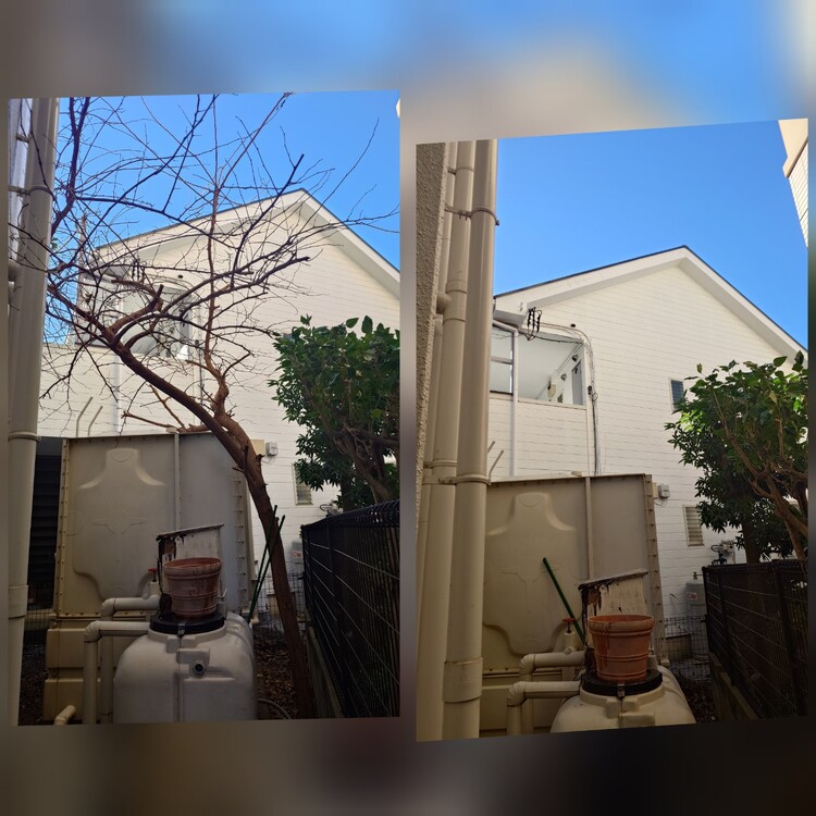 あなたのお庭を美しく、大切に。もちろん伐採から手入れまでお任せください。