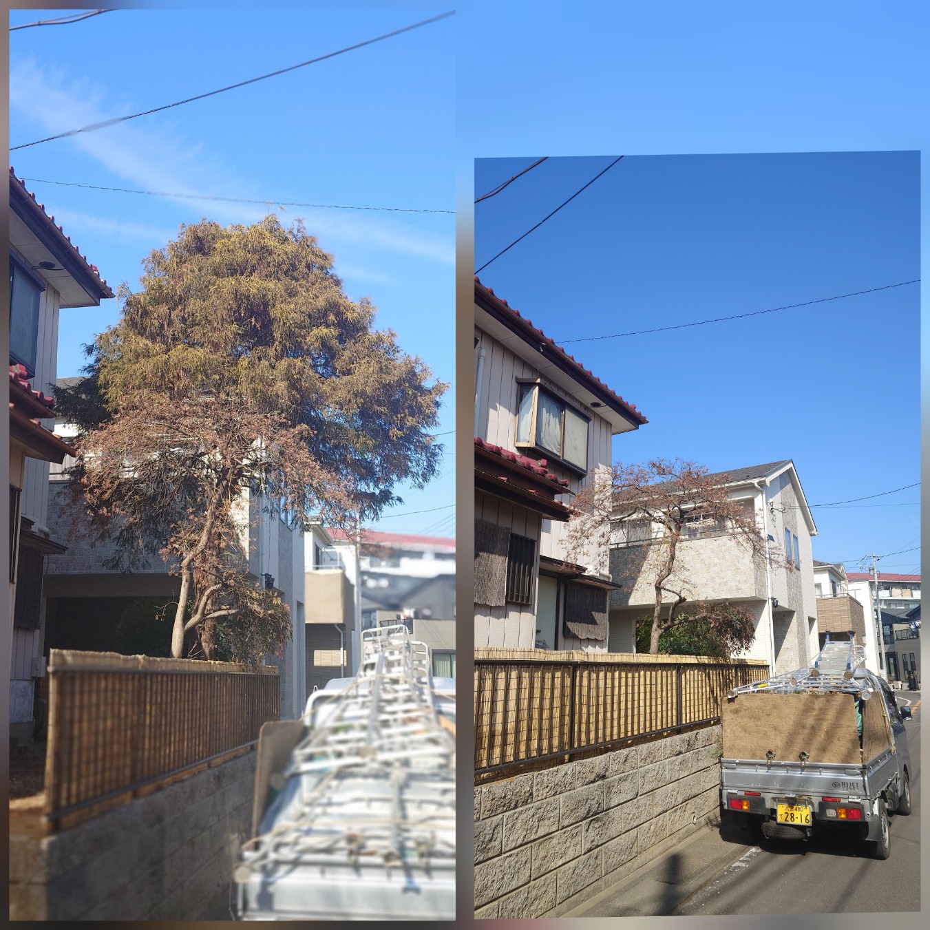 さいたま市の庭木伐採のことならお任せ！