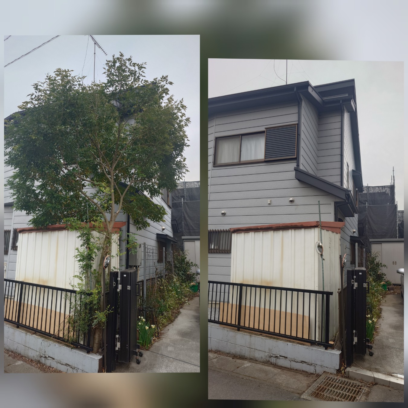 あなたのお庭、私たちが健康に美しくします！