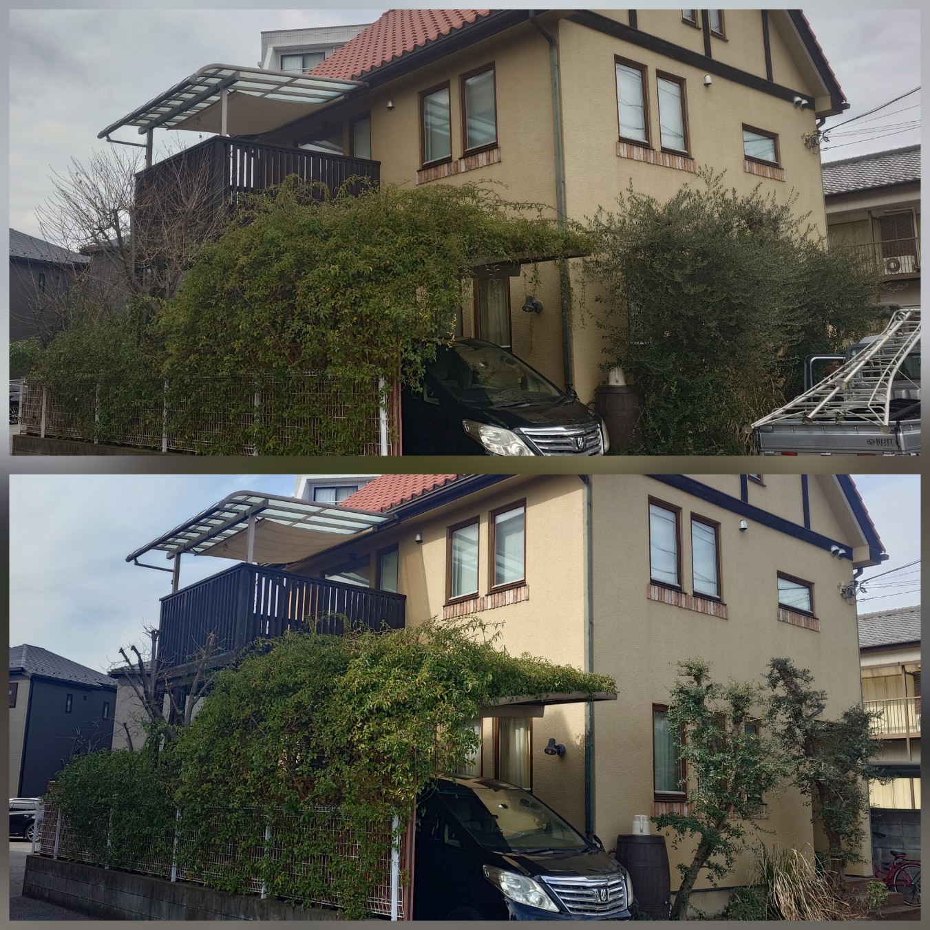 川口市の庭はプロにお任せ！あなたの大切なお庭を美しく演出します。
