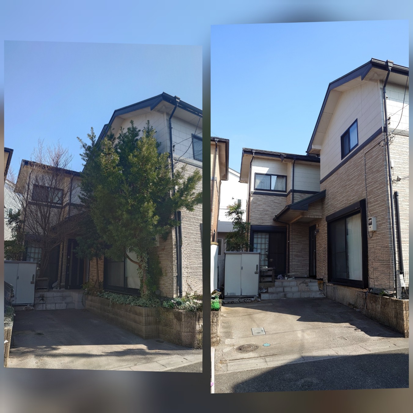 さいたま市の庭木伐採、安心と信頼のプロにお任せ