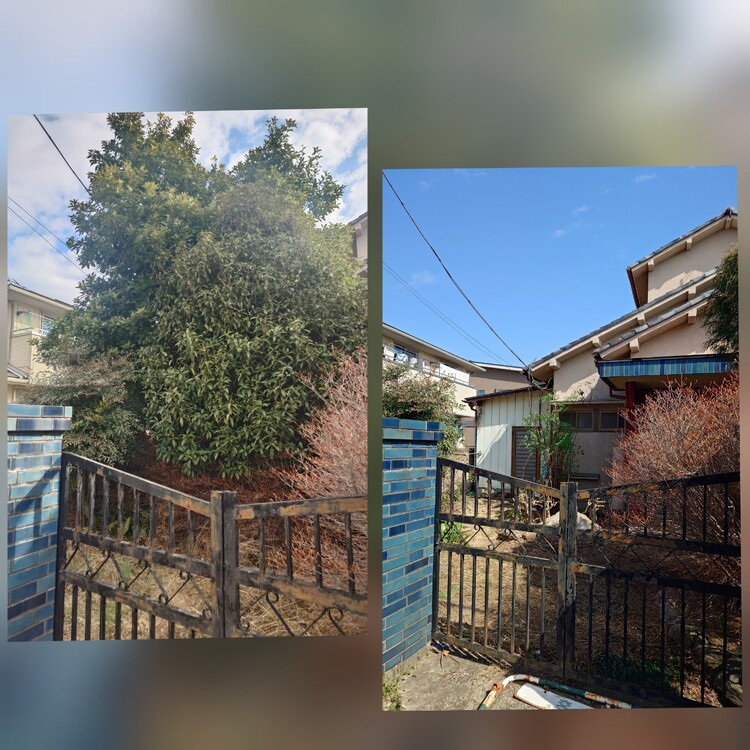 見沼区の伐採はプロにお任せ！急な依頼でも迅速対応