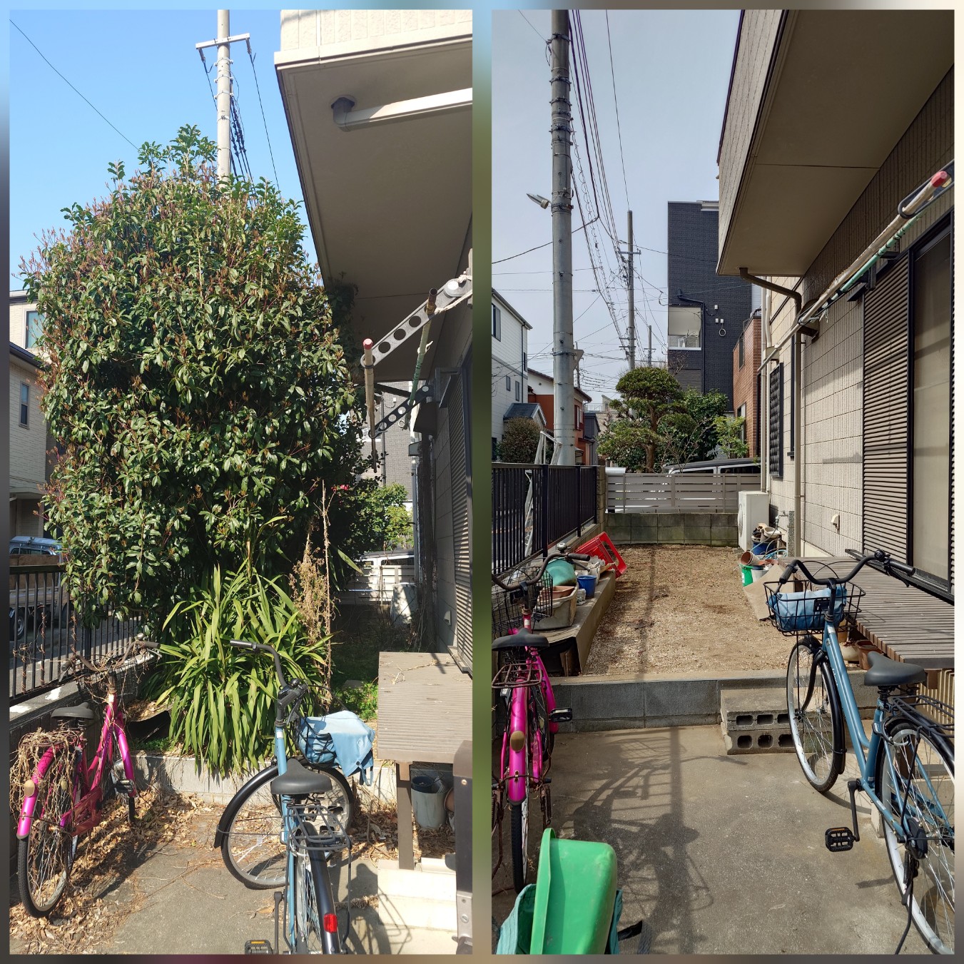 あなたの庭はプロに任せて美しさを取り戻そう！