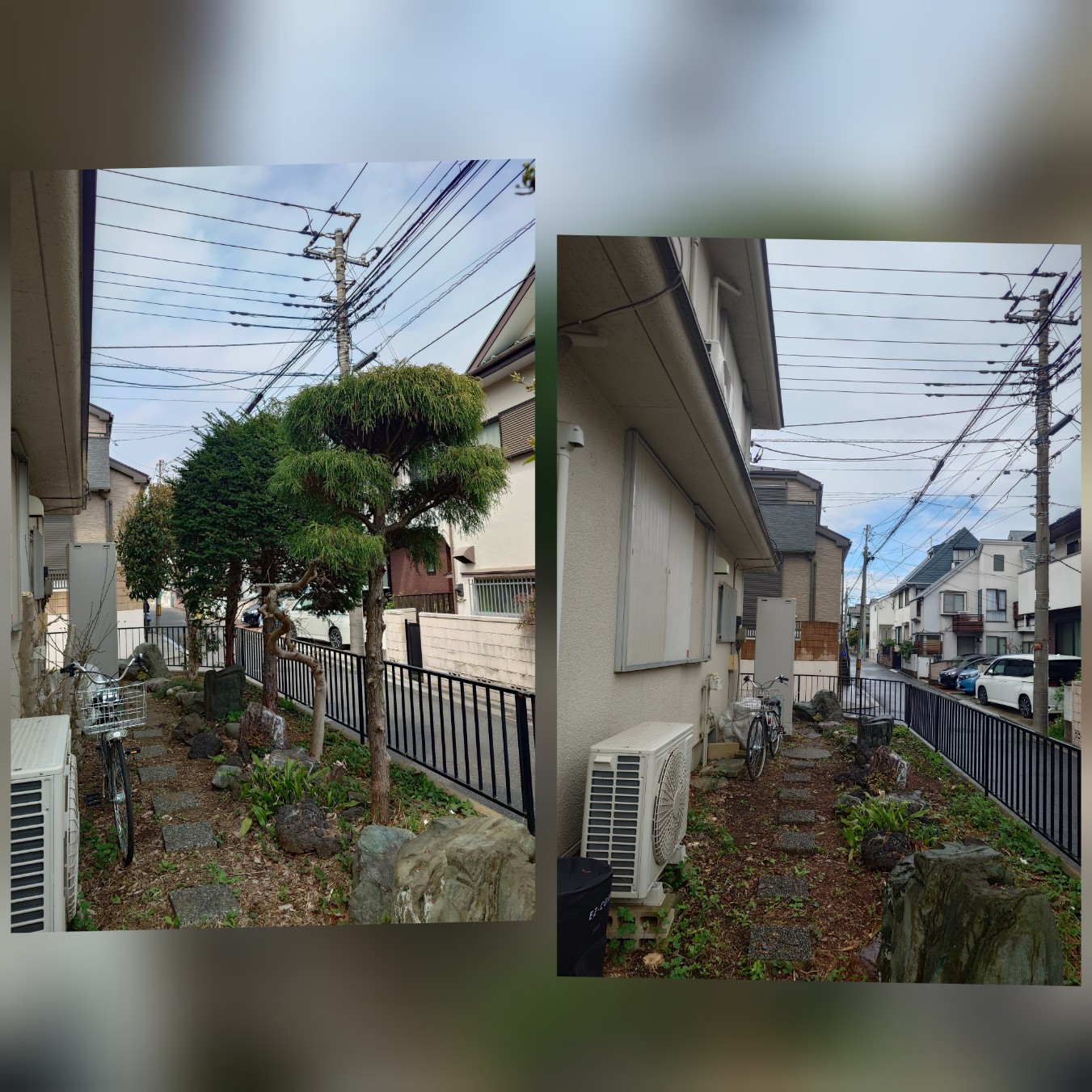 さいたま市の伐採は私たちにお任せ！迅速・丁寧で安心のサービス