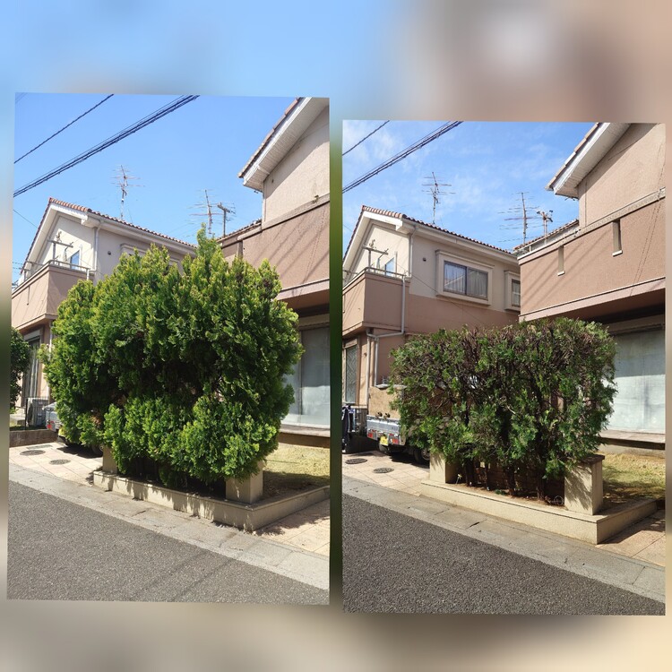 さいたま市の剪定ならお任せ！プロの技術で美しいお庭を実現