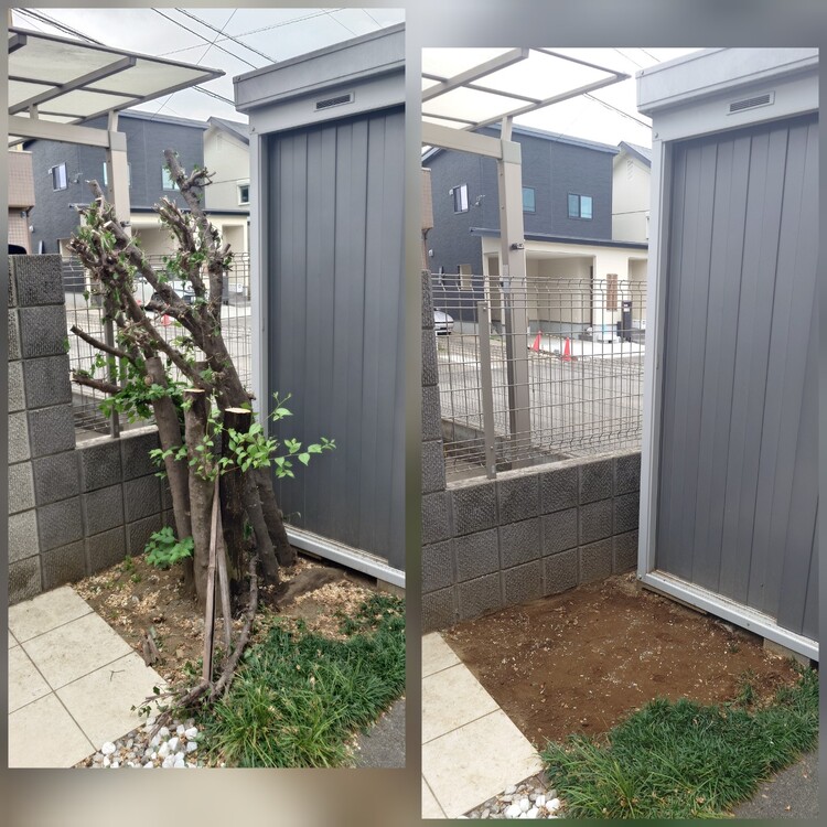 庭木の抜根、あなたのお庭を美しく再生します！