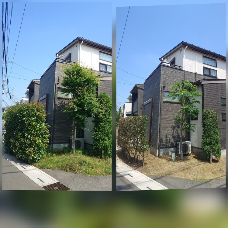 さいたま市の剪定・伐採はお任せ！美しいお庭作りをサポートします