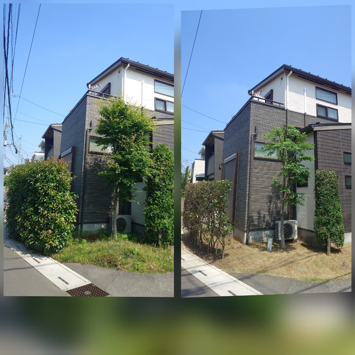 さいたま市の剪定・伐採はお任せ！美しいお庭作りをサポートします