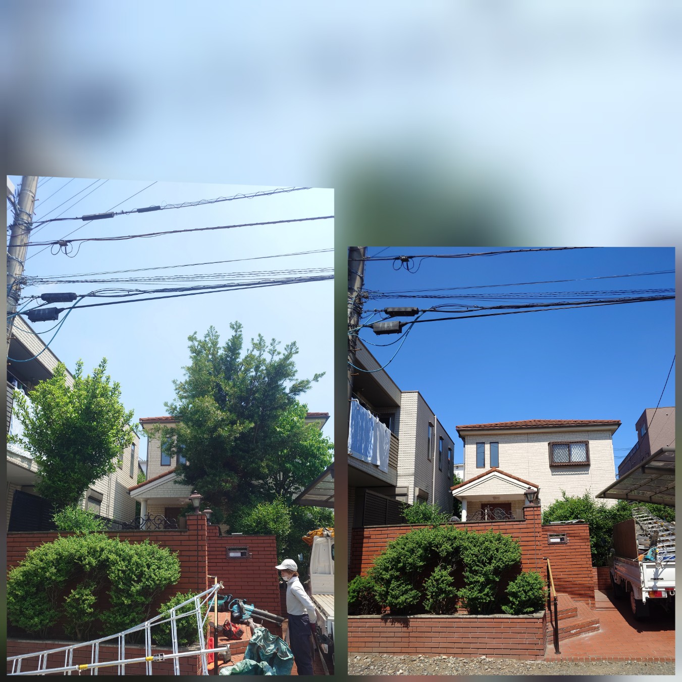 あなたのお庭に最適な伐採サービス、さいたま市で実現！