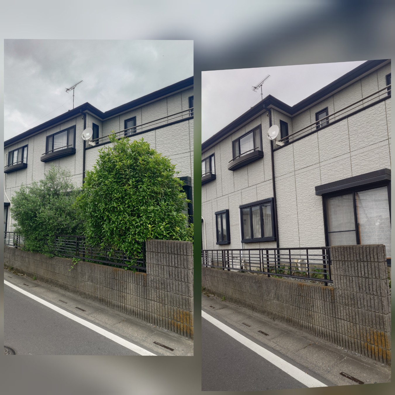 見沼区での伐採はお任せください！迅速・丁寧・安心のサービスを提供します。