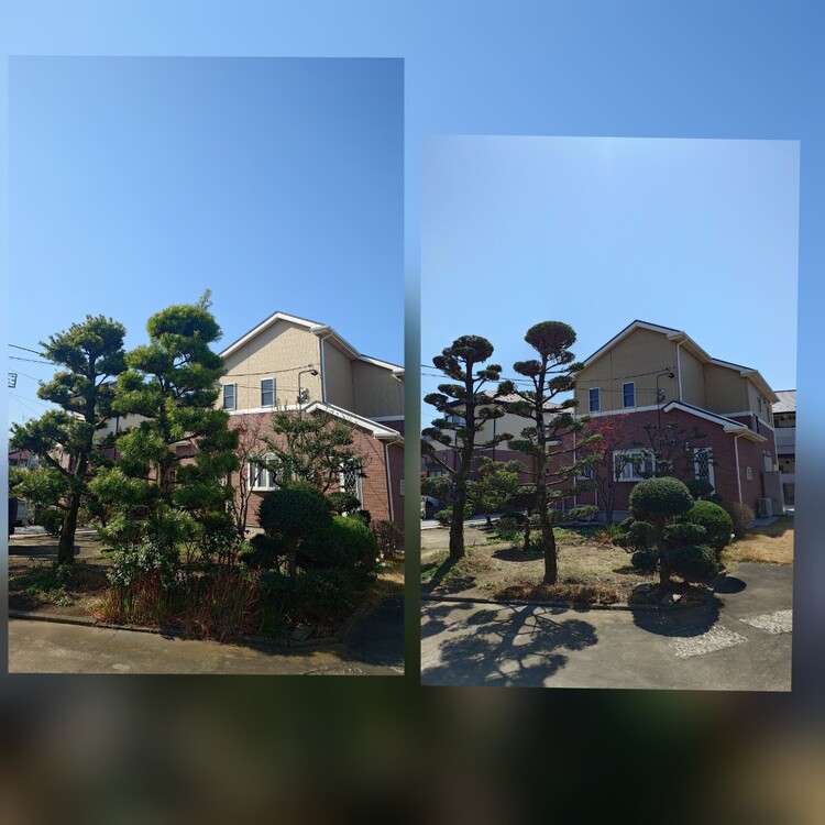 植木屋をお探しのあなたへ。マツモト造園が全てサポートします！