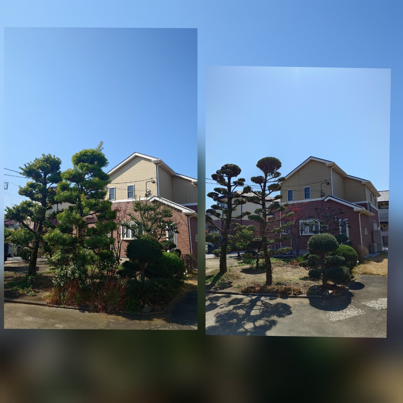 植木屋をお探しのあなたへ。マツモト造園が全てサポートします！