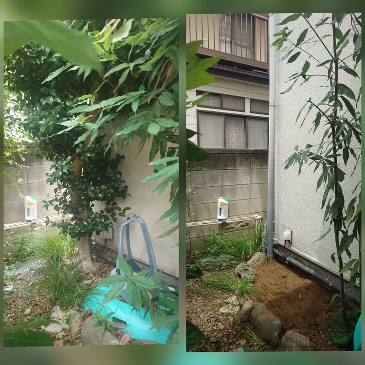 伐採・抜根のプロフェッショナル、マツモト造園がお庭をリフレッシュ！