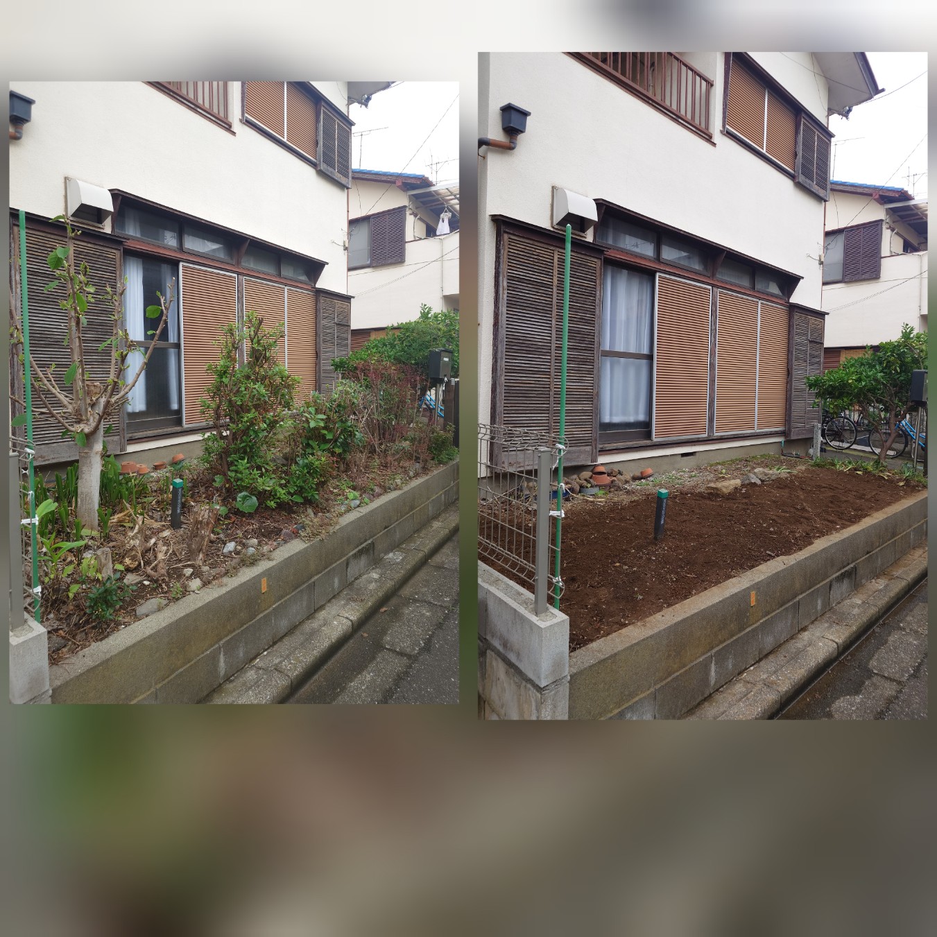 伐採、抜根は植木屋マツモト造園へ