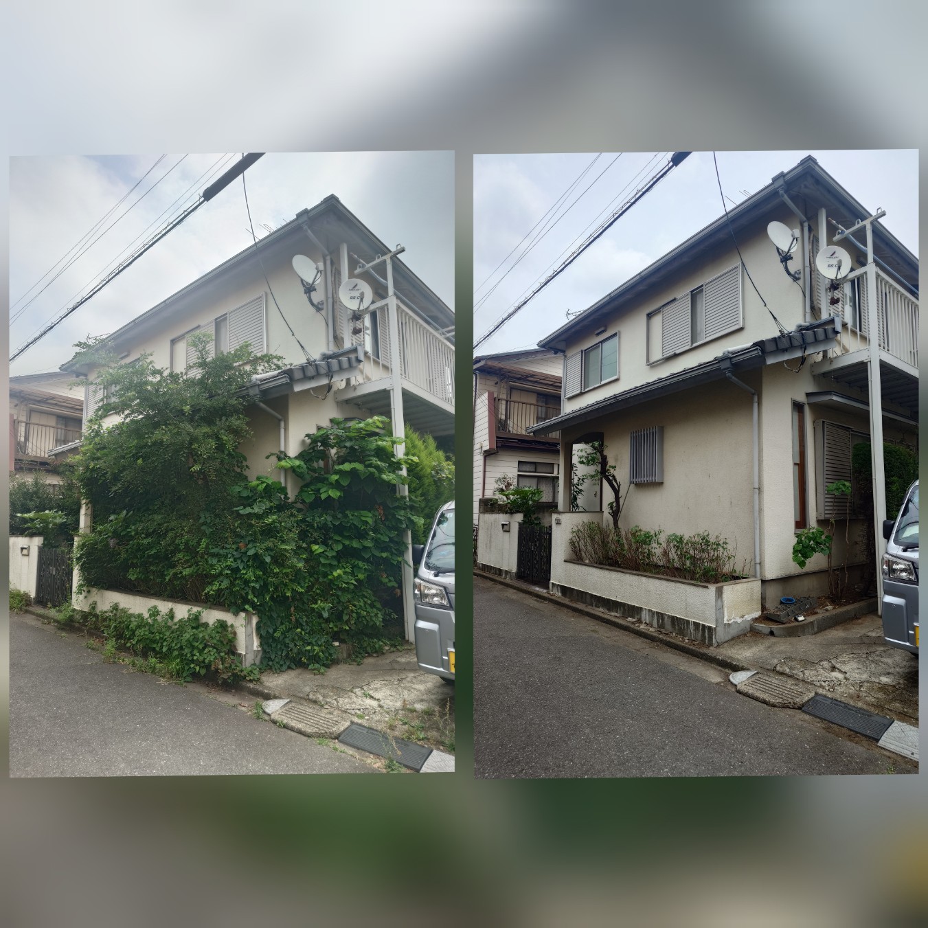 あなたの庭師、マツモト造園が剪定のプロフェッショナルをお届けします！
