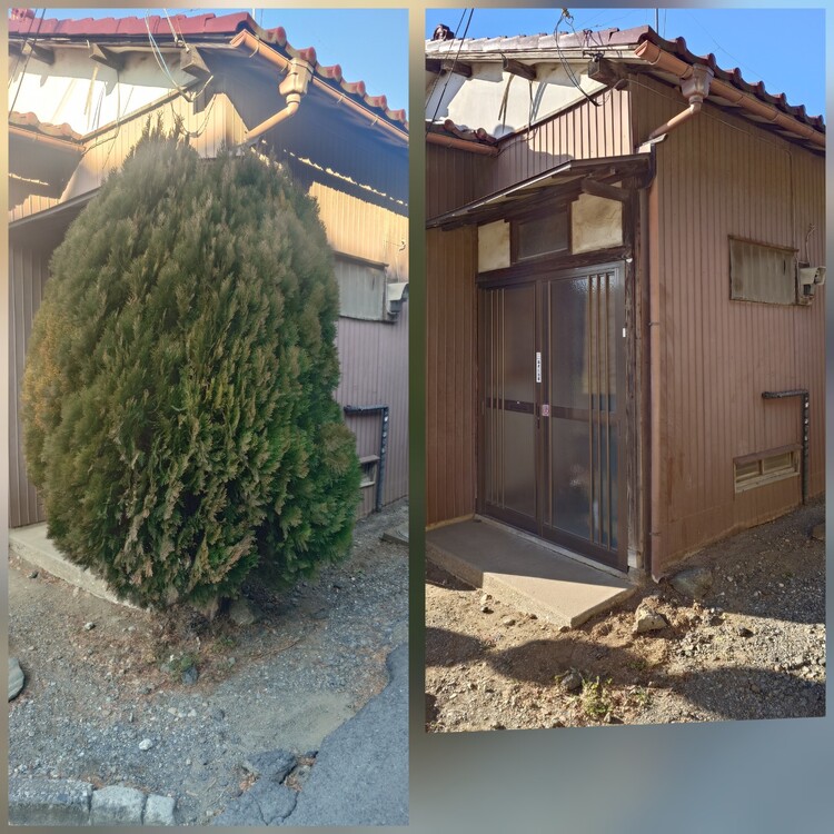 伐採の見積もりならお任せ！素早く丁寧な対応で安心をお届け