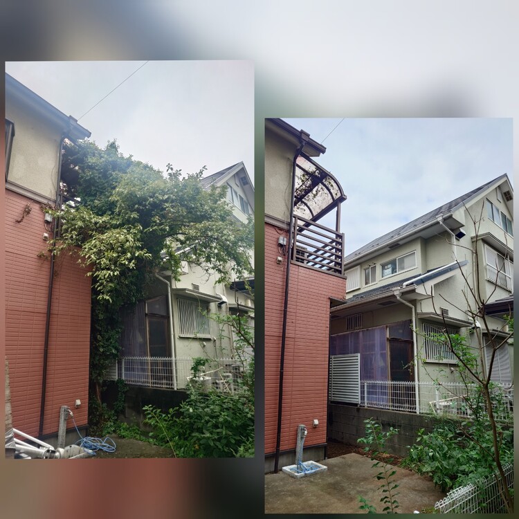梅の木の伐採はお任せ！安全・迅速・安心のサービス提供