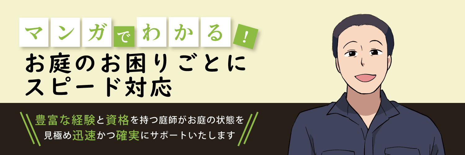 漫画特集