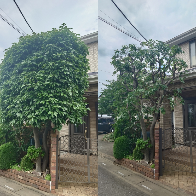 さいたま市南区のお庭は、マツモト造園にお任せ！